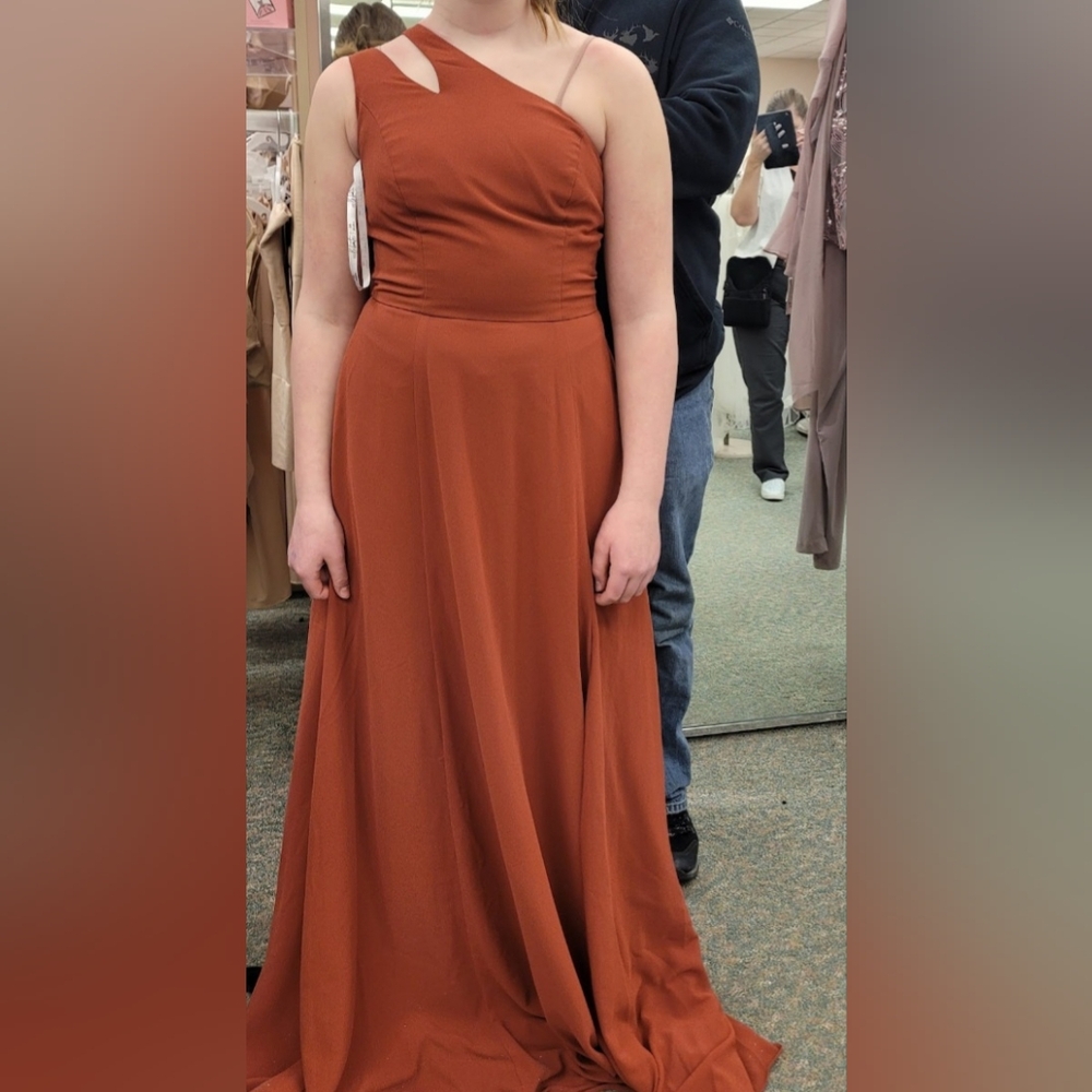 Elegant Cinnamon Dress